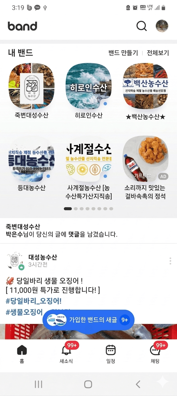 현재 밴드 광고 트렌드